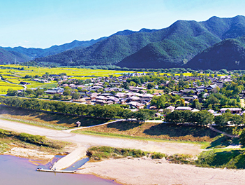 【爽玩釜山五大主題】（釜山、大邱、浦項、慶州、安東）五城全覽玩透透五天【全程無自理餐】《不走人蔘+保肝店》【德威、真航、桃園出發】