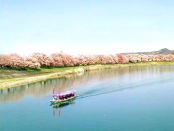 【東北歐嗨喲】東北櫻花百選名所、浪漫會津鐵道、藏王纜車溫泉美食五日【星宇航空,仙台進出】