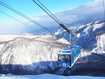 【星心假期】初戀雪北海道五日（層雲峡冰瀑祭、黑岳樹冰纜車、旭山動物園、札幌白色燈樹節、小樽雪夢幻燈、初戀玩雪趣）