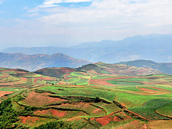 【遊遍中國自由行】雲南東川紅土地、羅平油菜花季、滇南建水元陽梯田八天(長榮/東方航空、無購物無自費)桃園出發
