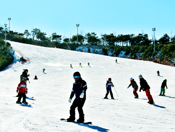 【釜山四城滑雪去】伊甸園滑雪場、汗蒸幕、加耶主題公園+韓服體驗+塗鴉秀、獨家享用龍蝦之家五天《不走人蔘+保肝》（入住１晚帝寶或原五花飯店）【德威航空、桃園出發】