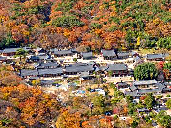 【虎躍釜山麗水巨濟楓情美食饌】順天灣國家園林、麗水海洋鐵路自行車、梵魚寺、浪漫巨濟島、加耶主題公園+韓服體驗、汗蒸幕、長腳蟹吃到飽五天《不進人蔘店》（入住麗水五星酒店）【台灣虎航、桃園出發】