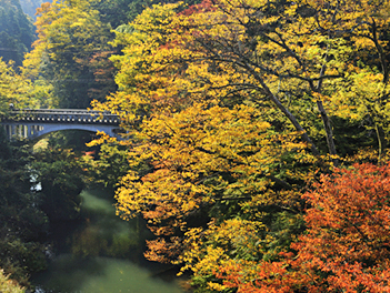 【精緻日本旅遊】北陸哆啦A夢電車 & 賞楓秘境、溪谷遊船名花之里點燈五日（庄川峽遊船、賞楓名所鶴仙溪、那谷寺、白川鄉合掌村、東茶屋街、兼六園）【星宇航空，台中/名古屋】
