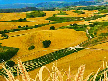 【遊遍中國自由行】北疆風華１３日～江布拉克麥田、喀納斯禾木村、雲霄峰索道、巴音布魯克－天山大峽谷、薰衣草莊園、天池（無購物、無自費）1+1VVIP雙排椅【南方航空】桃園出發