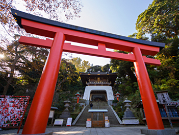 【來去東京】東京機加酒、自由行五日（亞洲航空、高雄出發 ）（不含機上餐）