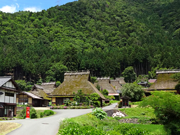 【元氣日本】丹後三絕賞櫻~天橋立.美山合掌村.伊根遊船.千本鳥居.宇治抹茶.和牛燒肉放題五日遊(奈良鹿公園.春日大社.大阪水上巴士)(星宇航空、台中直飛神戶)