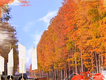 【遊遍中國自由行】《秋冬限定》「夢裡水鄉」水上紅杉林、張家界天門山、湖南湖北、鳳凰古城八日《加贈魅力湘西秀、五星溫德姆下午茶》（無購物、無自費）【南方航空、桃園出發】