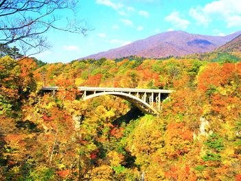 抗漲專區【東北歐嗨喲】楓紅彩妝～東北浪漫銀山雙遊船採果三溫泉精緻五日（嚴美溪、猊鼻溪遊船、中尊寺、銀山溫泉街、松島灣遊船、翠之丘公園、山形紅葉公園、瑞鳳殿、鳴子峽）【福島包機】