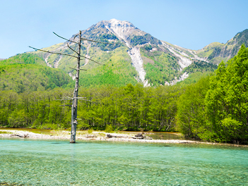 【悠閒時光】清涼山水漫遊、名古屋長野上高地６日（長良川鐵道、奧飛驒熊牧場、新穗高纜車、燈光博物館、季節採果樂）