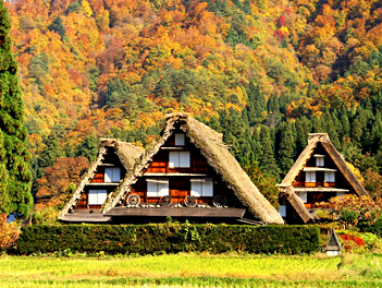 【元氣日本】北陸賞楓五日遊～立山黑部、白川合掌村、金澤兼六園（星宇航空、台中直飛神戶）