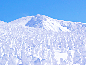 【元氣東北】東北藏王樹冰、銀山溫泉、飯豐戲雪樂園、賞梅六日（水戶偕樂園、阿武隈洞、狐狸村、大內宿、會津若松城）